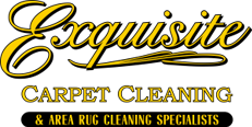 A carpet cleaning company logo with the words " exquisite carpet cleaning ".