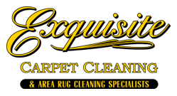 A carpet cleaning company logo with the words " exquisite carpet cleaning ".