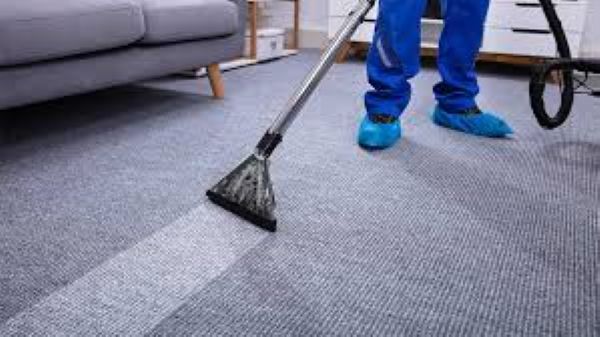 Person cleaning carpet with vacuum cleaner, showing cleaned and dirty areas.